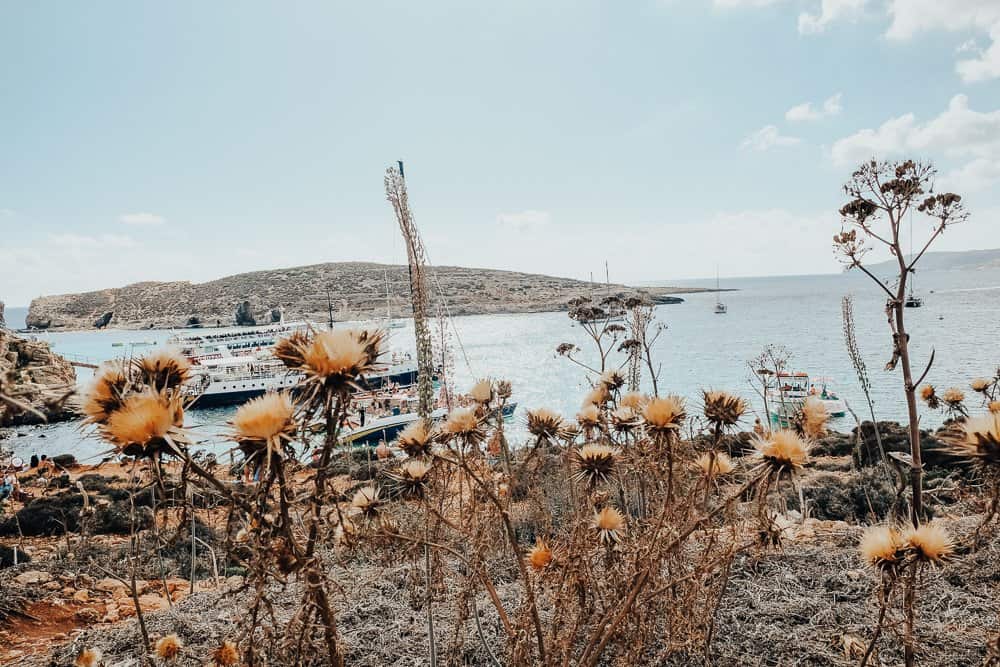 Blue Lagoon Malta