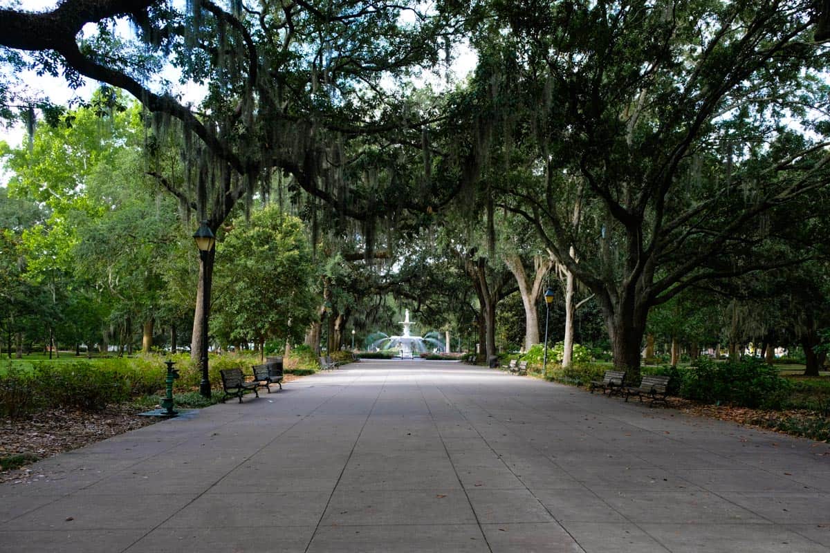 My view of a classic fountain and Spanish moss in Forsyth Park