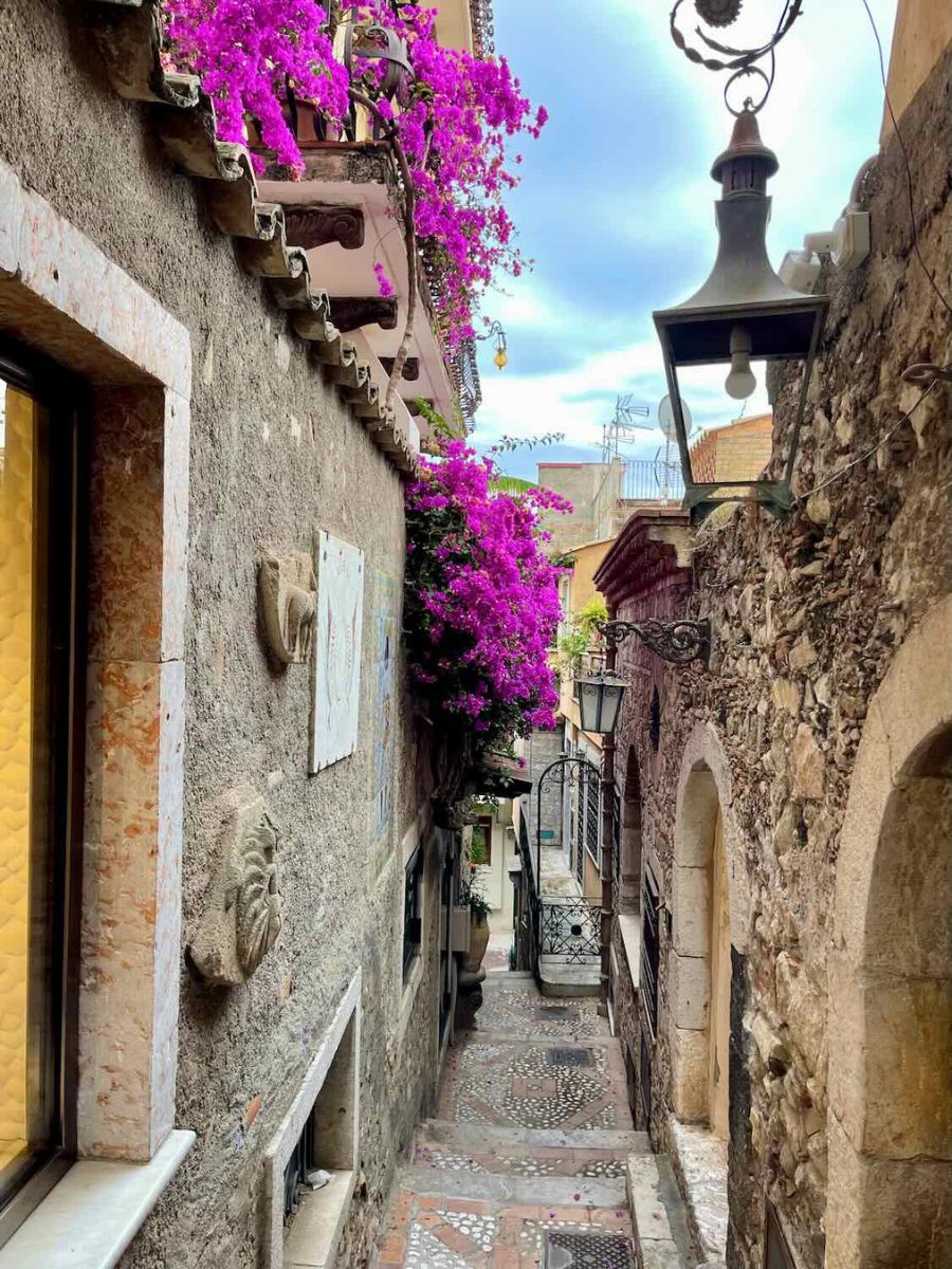 Beautiful walkway with purple flowers and stone wall