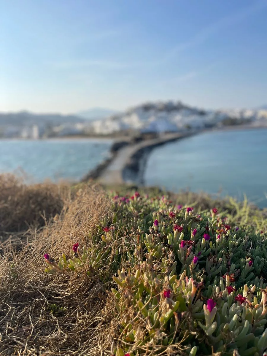 Best Bus tour of Naxos Greece