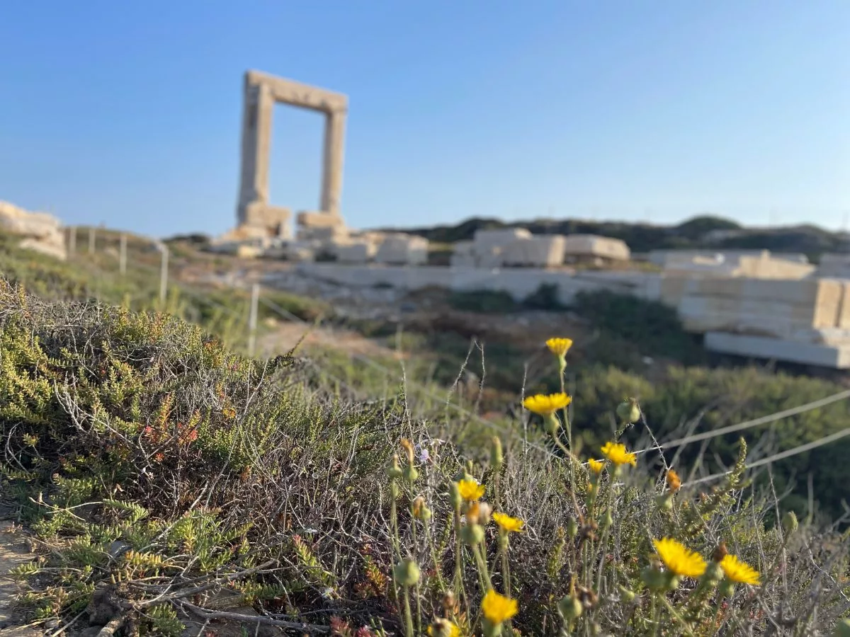 Close up on the temple of Apollo